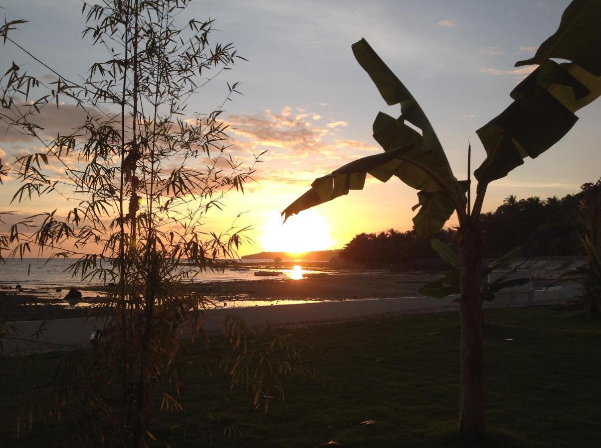 Bamboobeachvilla1 Ac New Oceanfront Pool Sunsetview Garden Kitchen Satellite Starlink Wi-Fi Dimiao Exterior photo